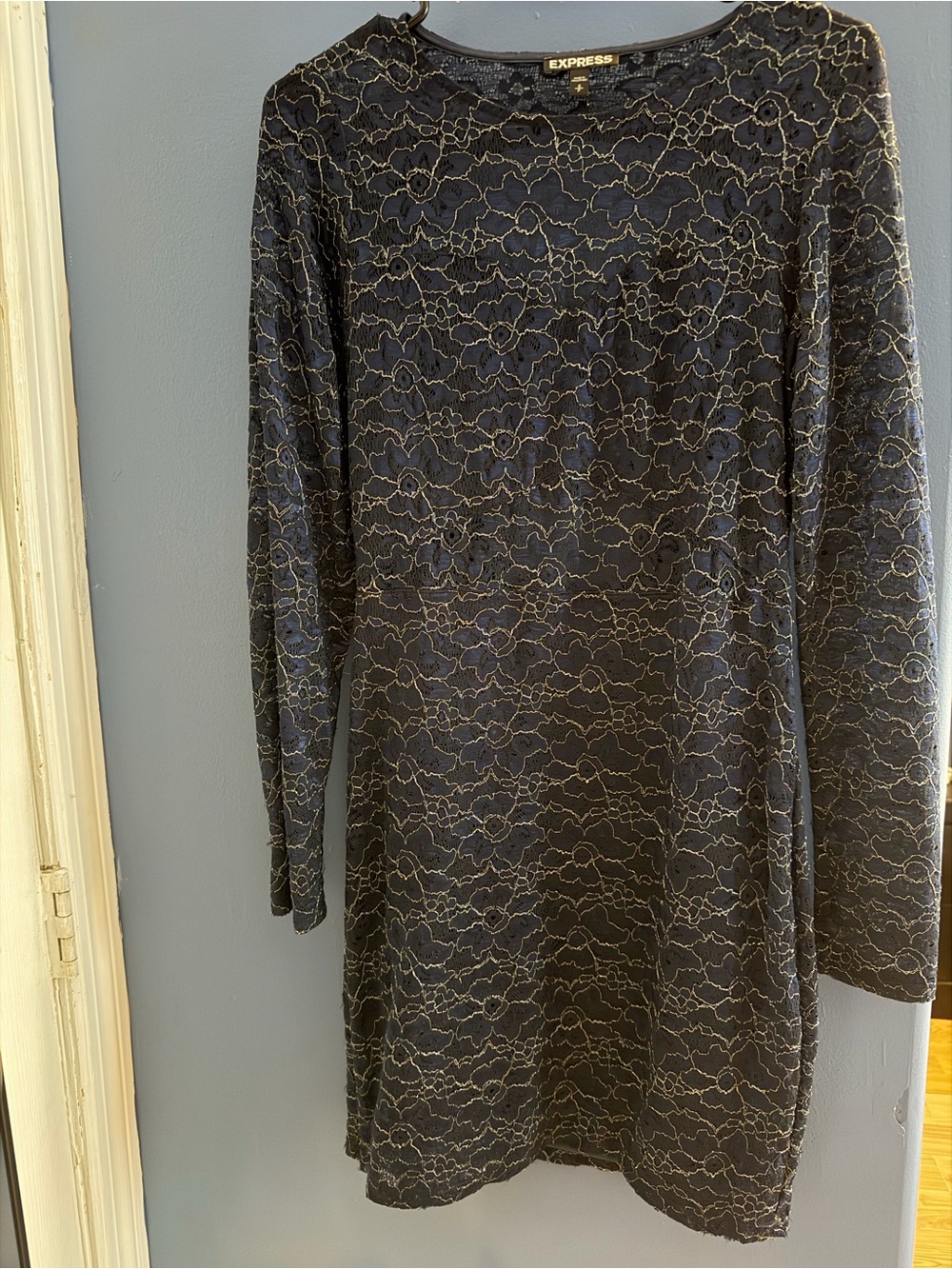 Express Black Lace-Overlay Long Sleeve Dress with Subtle Gold Threading